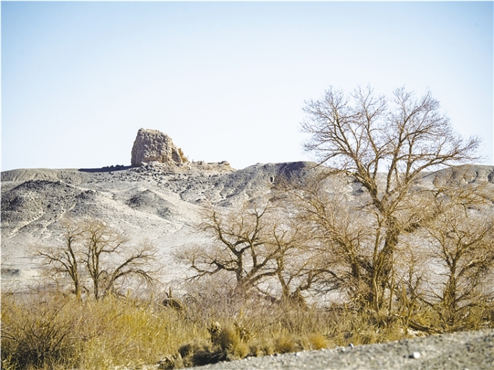  �޶ػ������   ������ ��