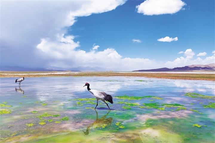 ��һ�Ժھ��������ʹ��մ��ʪ������������Ȼ�Ե���