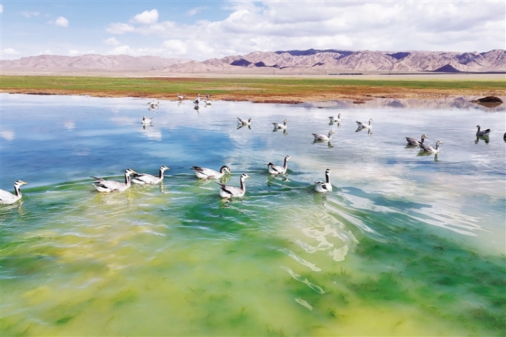 �۰�ͷ�����������ո���һ��ʪ��Ϸˮ��